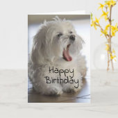 **MY BROTHER** HAPPY BIRTHDAY CARD KAART (Gele Bloem)