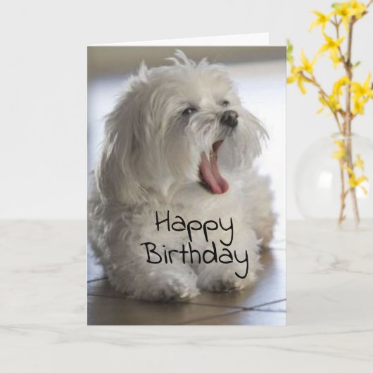 **MY BROTHER** HAPPY BIRTHDAY CARD KAART (Gele Bloem)