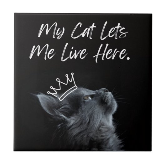 My Cat Lets Me Live Here Tegeltje (Voorkant)