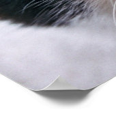 My cat poster (Hoek)