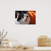My cat poster (Keuken)