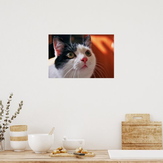 My cat poster (Keuken)