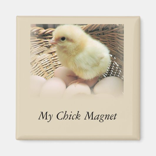 "My Chick Magnet" met Baby Chicken Magneet (Voorkant)