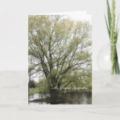 My Deepest Sympathy Kaart (Voorkant)