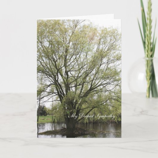 My Deepest Sympathy Kaart (Voorkant)