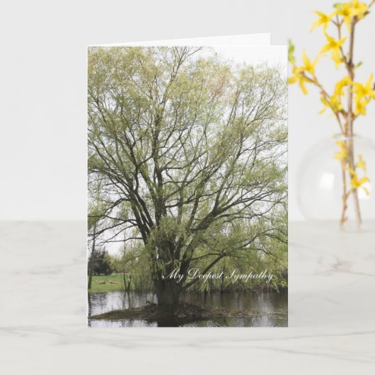 My Deepest Sympathy Kaart (Gele Bloem)