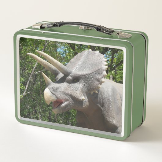 My Dinosaurs (Achterkant)