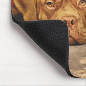 My dog loves soccer and I love my dog Muismat (Hoek)