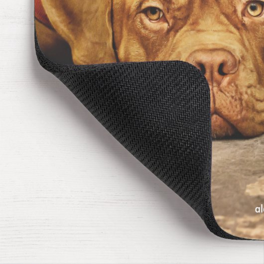 My dog loves soccer and I love my dog Muismat (Hoek)