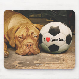 My dog loves soccer and I love my dog Muismat