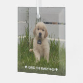 My Dog Photo Christmas Glas Ornament (Voorkant links)