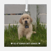 My Dog Photo Christmas Glas Ornament (Achterkant)