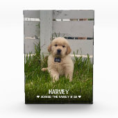 My Dog Photo Fotoblokken (Voorkant)