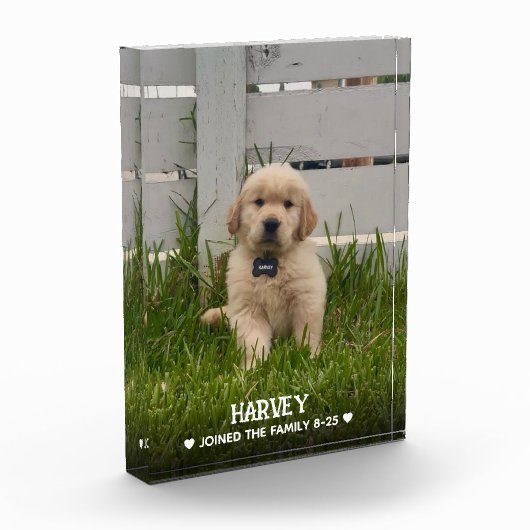 My Dog Photo Fotoblokken (Links)