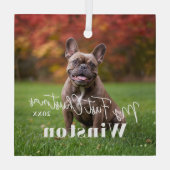 My First Christmas Custom Pet Name Photo Glas Ornament (Achterkant)