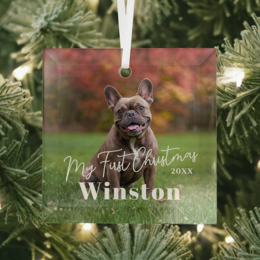 My First Christmas Custom Pet Name Photo Glas Ornament (Insitu)
