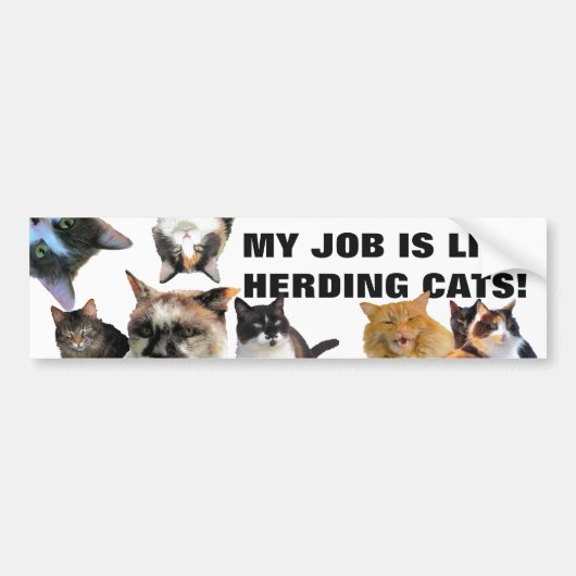 MY JOB IS IKE hERDING cATS! Bumpersticker (Voorkant)
