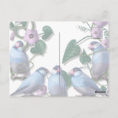 My morning JAVA with Java sparrows Briefkaart (Achterkant)