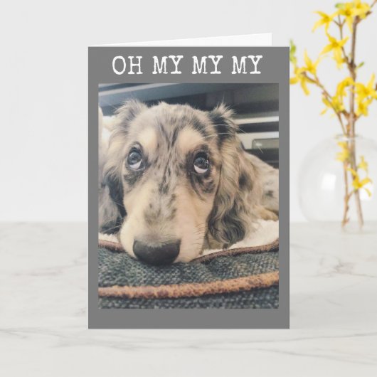 MY MY MY YOU DRAAIT ***16** KAART (Gele Bloem)