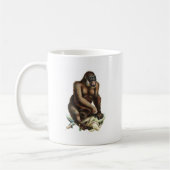 MY PET GORILLA KOFFIEMOK (Links)