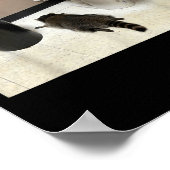 My Srit Animal Drunk Raccoon Funny Lazy Mood Poster (Hoek)