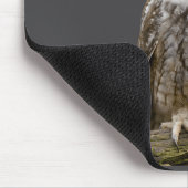 My Srit Animal Funny Meowl, Cursed Cat Owl Brainro Muismat (Hoek)