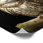 My Srit Animal Funny Meowl, Cursed Cat Owl Brainro Poster (Hoek)