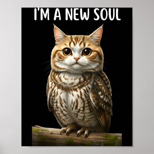 My Srit Animal Funny Meowl, Cursed Cat Owl Brainro Poster (Voorkant)