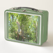 My T-Rex Dinosaur (Voorkant)