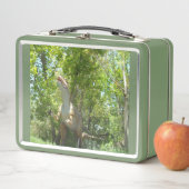 My T-Rex Dinosaur (In situ)