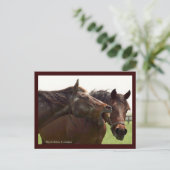 My Turbulent Miss with Taba Postcard Briefkaart (Staand voorkant)