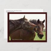 My Turbulent Miss with Taba Postcard Briefkaart (Voorkant / Achterkant)