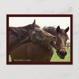 My Turbulent Miss with Taba Postcard Briefkaart