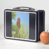 My Tyrannosaurs Rex (In situ)