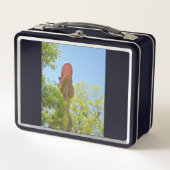 My Tyrannosaurs Rex (Voorkant)