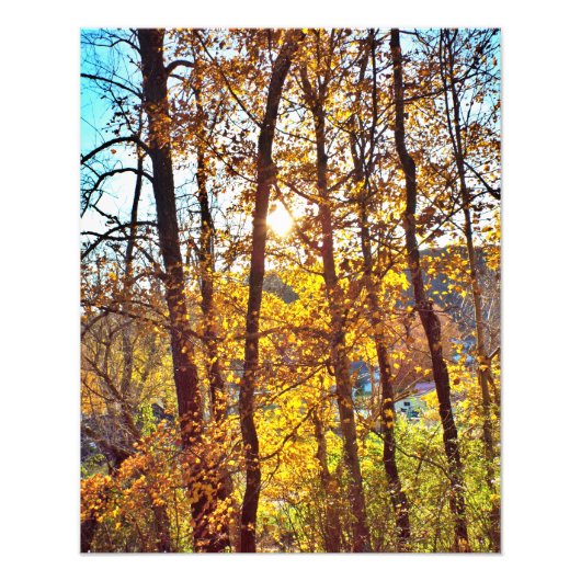 my view foto afdruk (Voorkant)