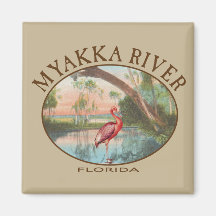 Myakka River Florida met Roseate Spoonbill