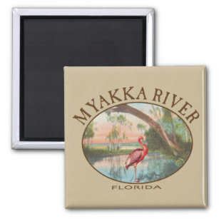 Myakka River Florida met Roseate Spoonbill Magneet