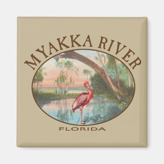 Myakka River Florida met Roseate Spoonbill Magneet (Voorkant)