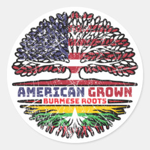 Myanmar Birmese Myanmar US American USA Verenigde  Ronde Sticker
