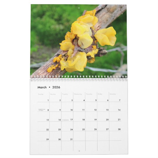Mycelium, Mushrooms and Fungus Kalender (Mar 2026)
