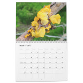 Mycelium, Mushrooms and Fungus Kalender (Mar 2027)