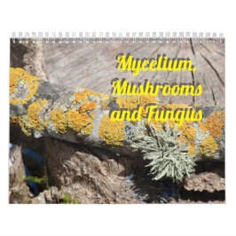 Mycelium, Paddenstoelen en Schimmels Kalender