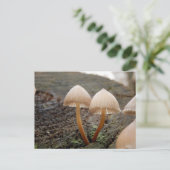 Mycena inclinata Mushroom Briefkaart (Staand voorkant)