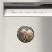 Mycena inclinata Mushroom Magnet (Insitu (Vaatwasser))