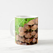 Mycena inclinata Mushroom Mok (Voorkant links)