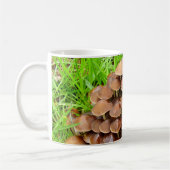 Mycena inclinata Mushroom Mok (Links)