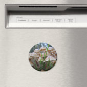 Mycena inclinata Paddenstoelen Magnet (Insitu (Vaatwasser))