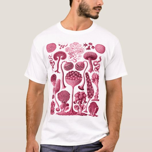 Mycetozoa - Kunstformen der Natur (1904) door Erns T-shirt (Voorkant)