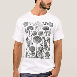 Mycetozoa - Kunstformen der Natur (1904) door Erns T-shirt